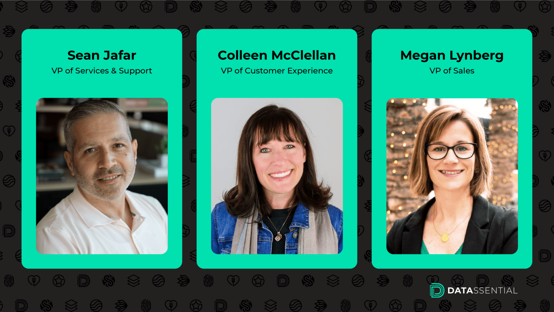 Datassential Redesigns Customer Experience and Sales Structure ...